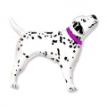 dalmatien collier rose 40 cm non gonflé air sur tige