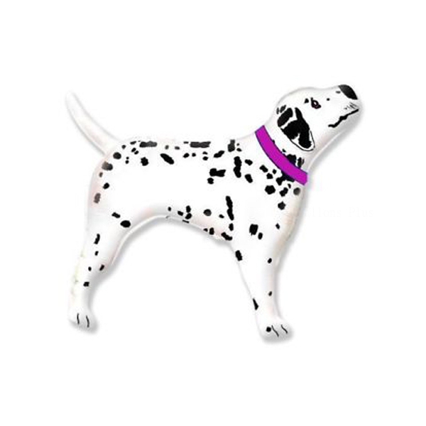 dalmatien collier rose 40 cm non gonflé air sur tige