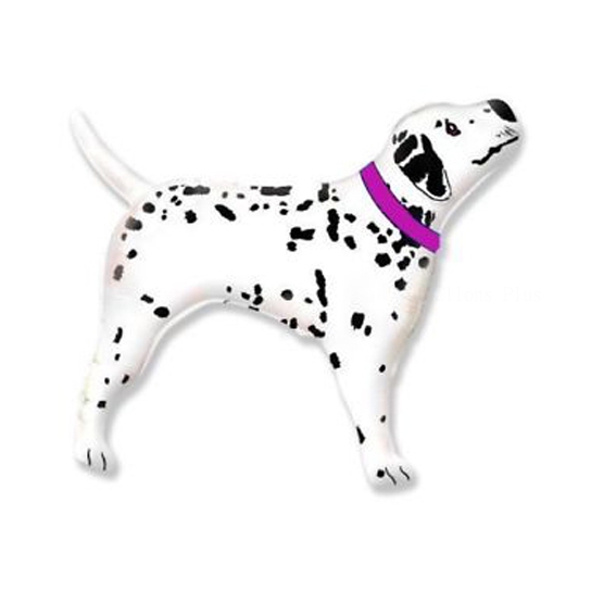 dalmatien collier rose 40 cm non gonflé air sur tige