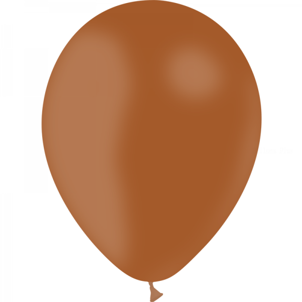 100 ballons marron opaque 28 cm