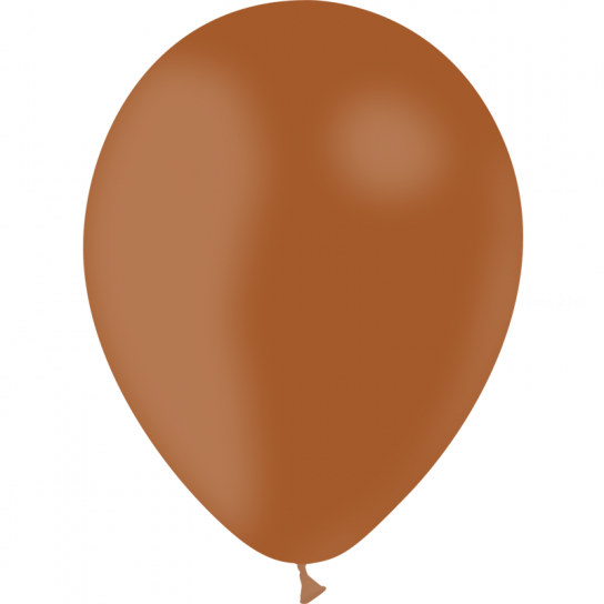 100 ballons marron standard 28 cm