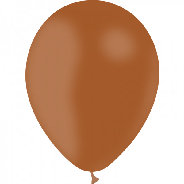 100 ballons Marron standard 30cm