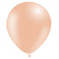100 ballons Peche standard 30cm