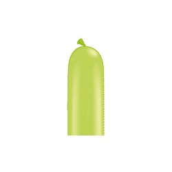 vert lime poche de 10 qualatex 646