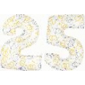 25 2 CHIFFRES BALLONS BLANC ET COEURS