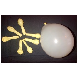 Ivoire ballons standard opaque 13.5cm poche de 100