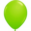 opaque VERT PISTACHE 35 cm POCHE DE 25 BALLONS