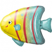 ° Poisson ange de la mer 64 cm